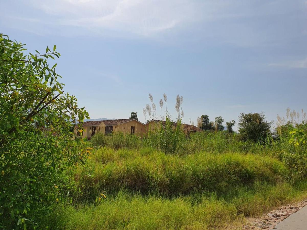 Bijapur Lodge Jawai Eksteriør bilde