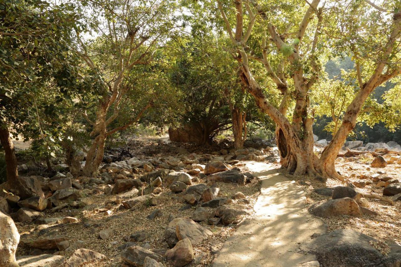 Bijapur Lodge Jawai Eksteriør bilde