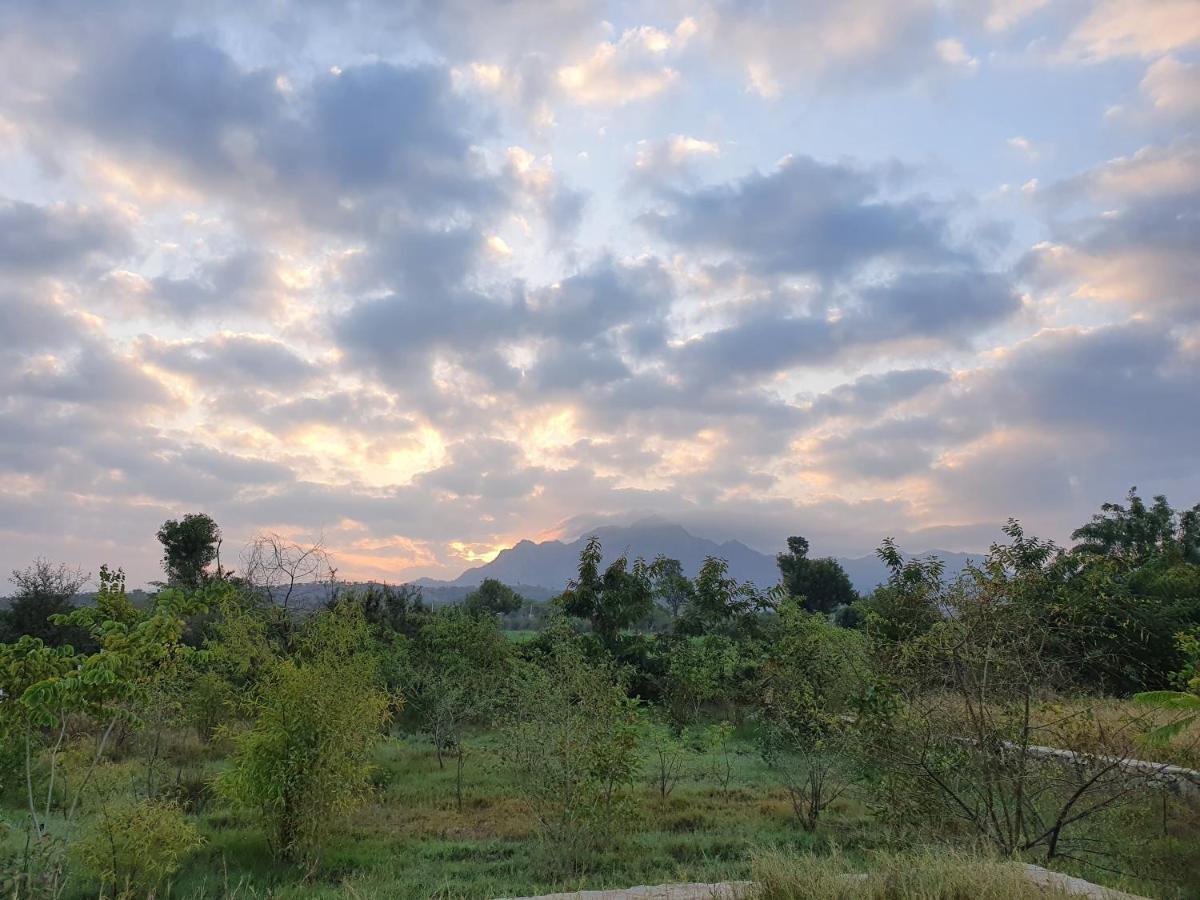 Bijapur Lodge Jawai Eksteriør bilde